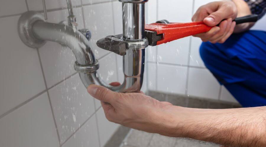 Thermal Imaging Leak Detection in Scotts, MI